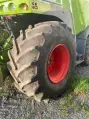 CLAAS JAGUAR 840 - Photo 11