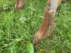 LEMKEN Karat 9/500KU - Photo 7