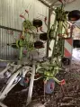 CLAAS Volto 870 T - Photo 2