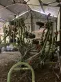 CLAAS Volto 870 T - Photo 1