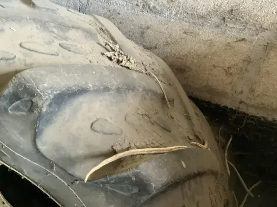 NEW HOLLAND TS 110  - Photo 5