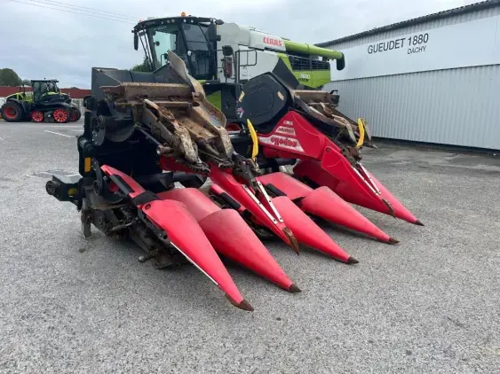 CAPELLO Diamant - Photo 1