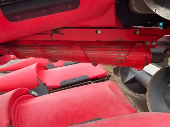 CAPELLO Diamant - Photo 16