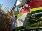 CLAAS LEXION 620 - Photo 25
