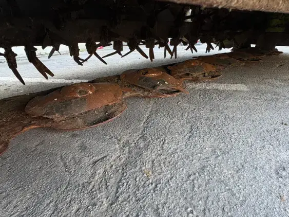 CLAAS Disco 3600 C contour - Photo 8