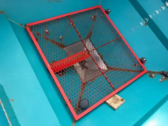 SULKY X 36 - Photo 11