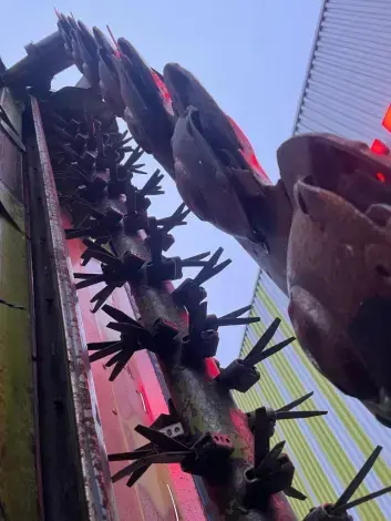 CLAAS Disco 1100 C business - Photo 17