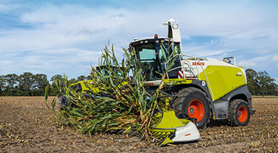 claas-jaguar800-ensileuse