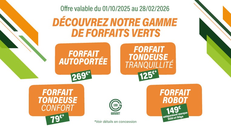 VISUEL_SITE_FORFAITS-VERTS_763X431PX-0925